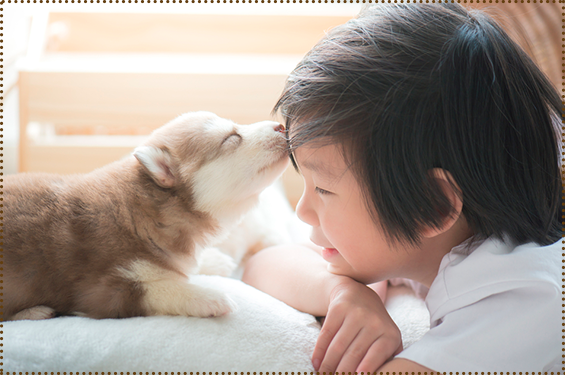 Pets e bebê: Como tornar essa convivência saudável?